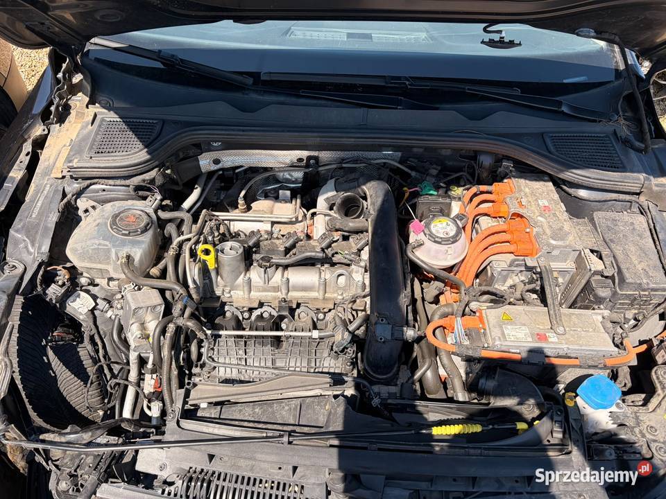VOLKSWAGEN Golf VIII 14 EHybride OPF 204 DSG6 Kielce
