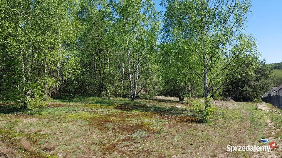 SUPER DZIAŁKA budowlana z lasem piękna okolica 9010m2 łódzkie Taurów
