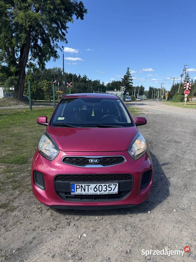Kia Picanto 10 benzyna 66 2016 109 884 wielkopolskie Zbąszyń