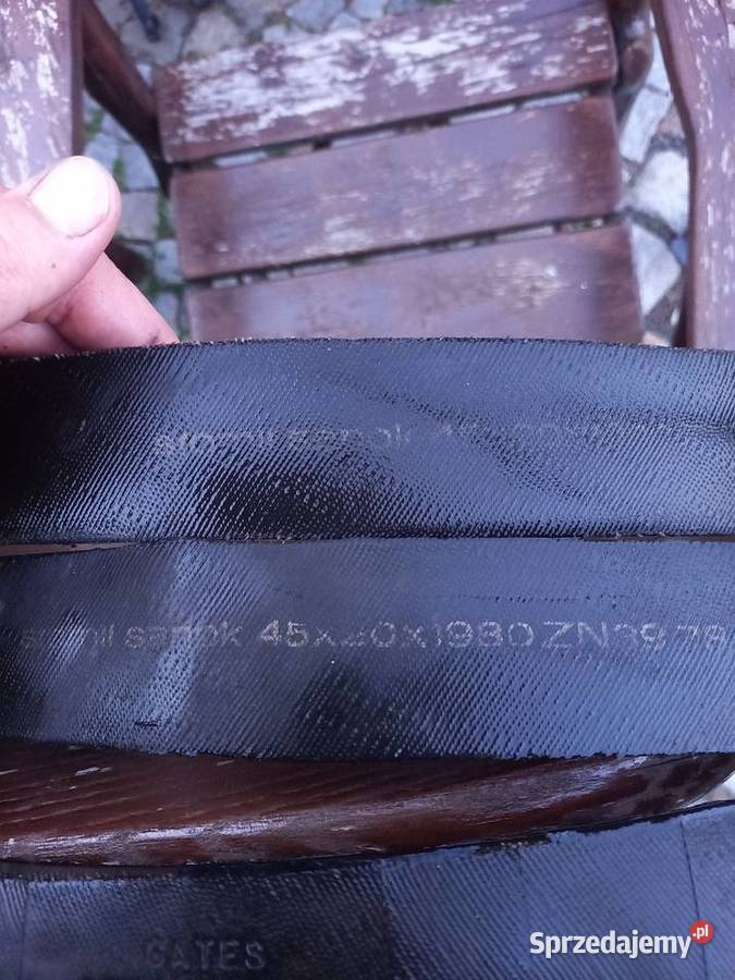 Pasy klinowe Vistula Legnica