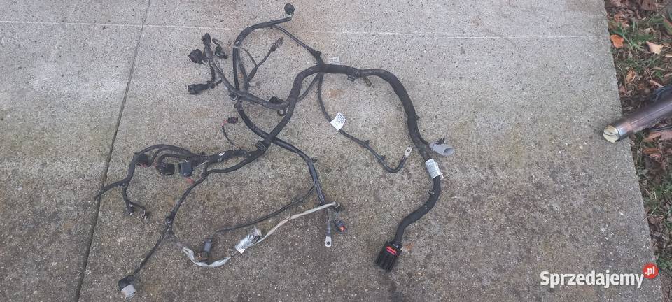 Klapa bagaznika zderzak blotnik tyl slupek prog podkarpackie