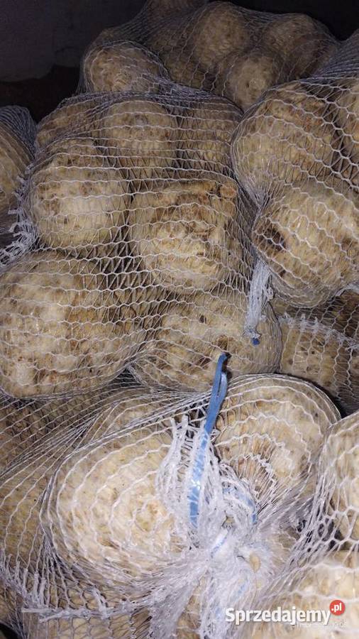 Seler myty 500 Rolnictwo Malkowice