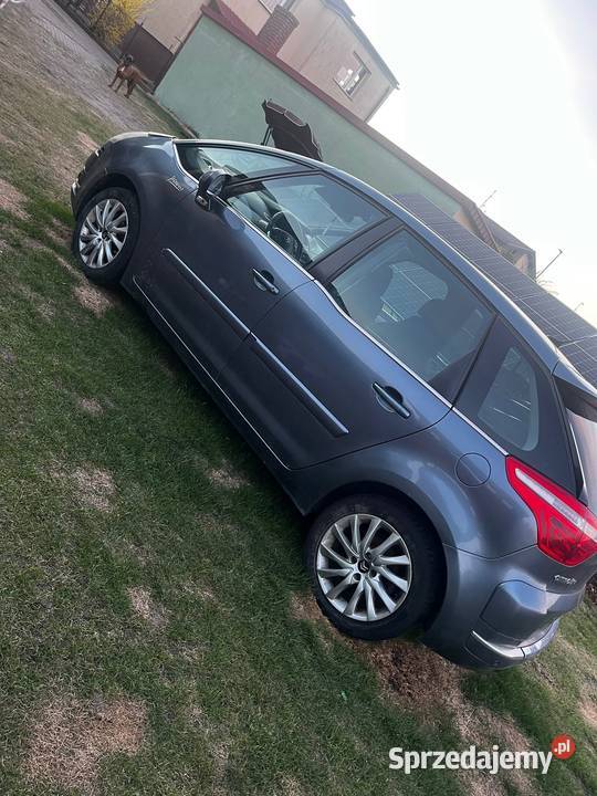 C4 Picasso 230tkm 16hdi Turek sprzedam