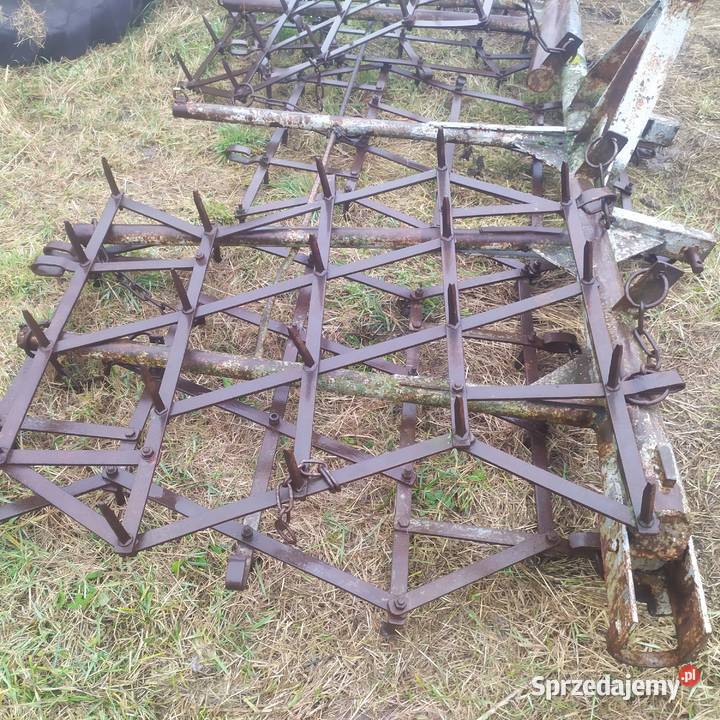 Brony 5 posiewne lubelskie Pniówek