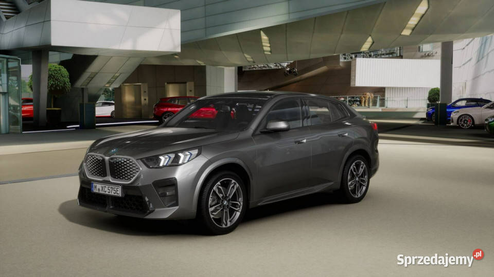 BMW iX2 iX2 eDrive20 Dostępne ręki światła przeciwmgielne Łódź