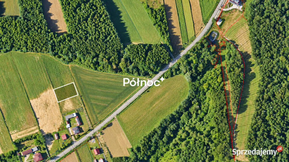 Działka z WZ lesie Majdanek gm Tomaszów Lubelski