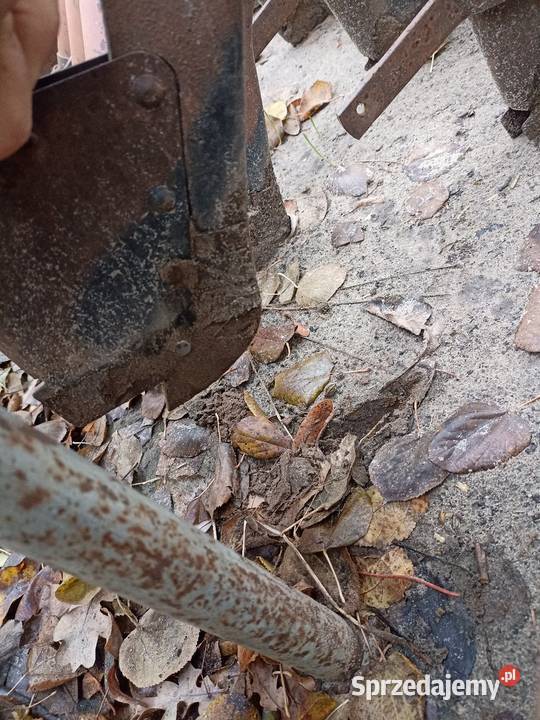 Siewnik Poznaniak 3m