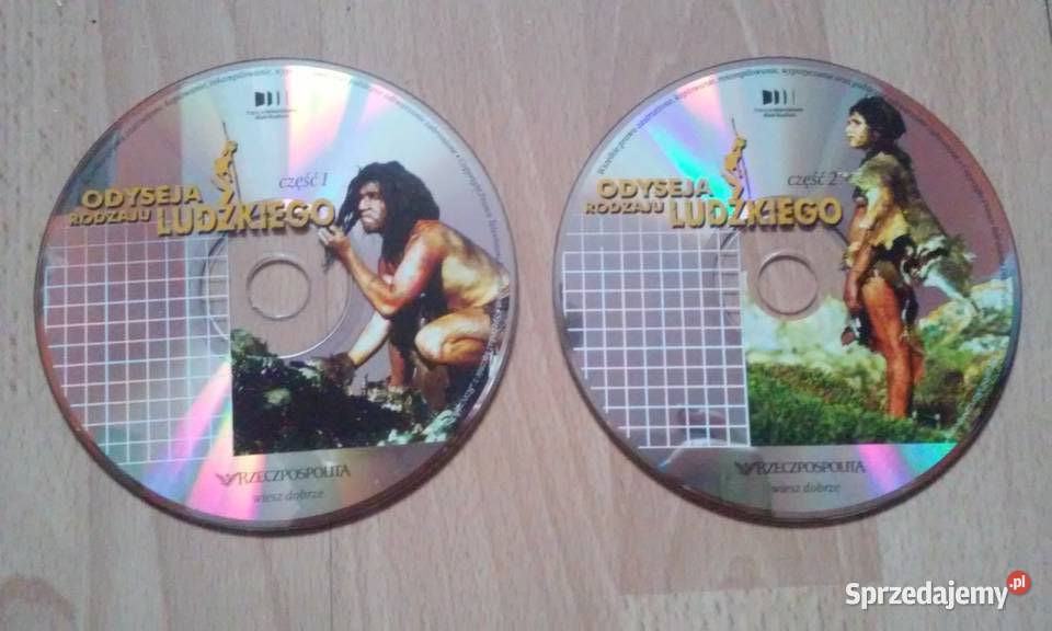 Odyseja rodzaju ludzkiego Szczecin