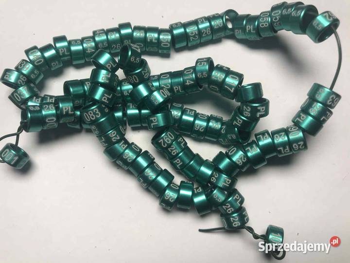 Obrączki drobnej egzotyki papug 26 26 rozmiar małopolskie Maków Podhalański