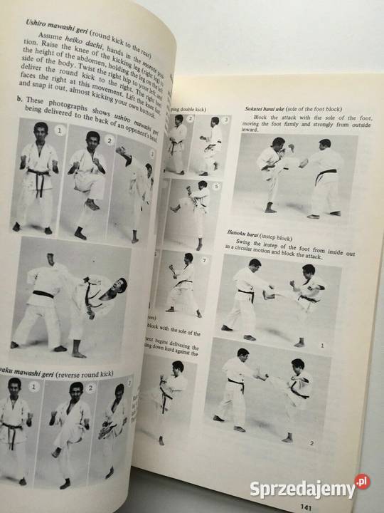 HIGAONNA Karate Goju Ryu cz14 HojoShin 6 Radom