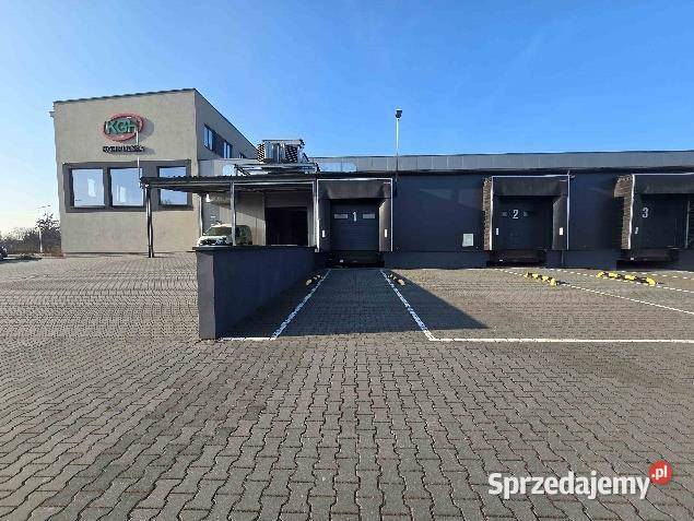 Kompleks przemysłowy w Łosicach mazowieckie Łosice sprzedam