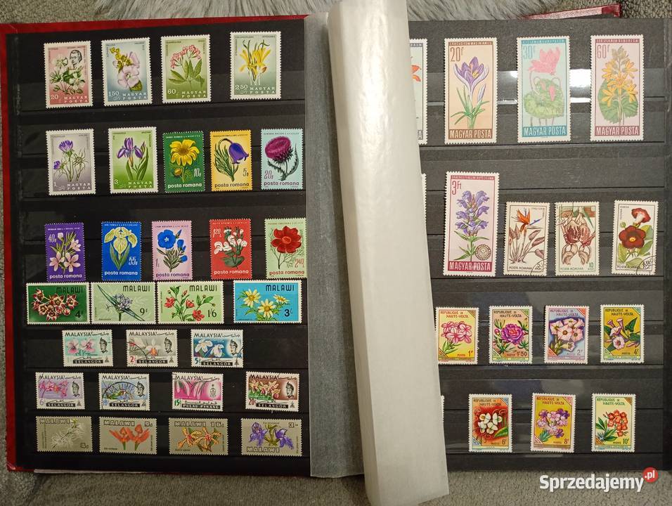 Duży album klaser ze starymi znaczkami Filatelistyka
