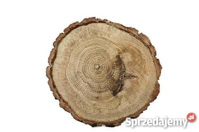 Plastry drewniane dąb szlifowany 1214 Plaster odcienie brązowego Rybnik