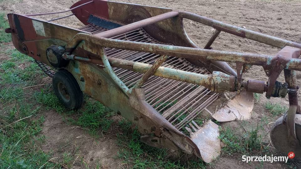 Kopaczka elewatorowa do ziemniaków małopolskie Skała