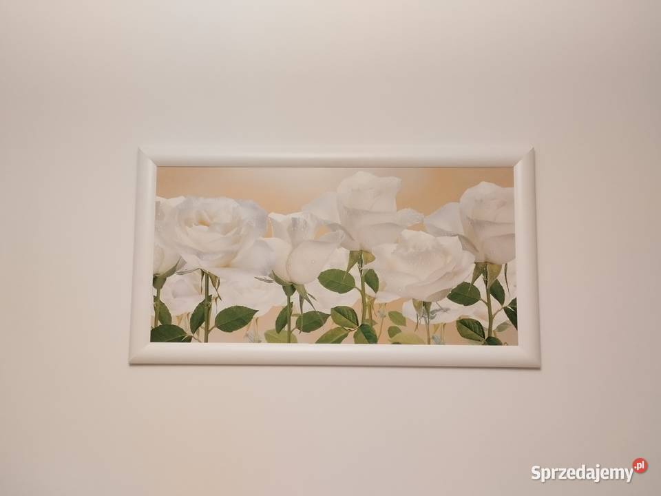 Obraz białe róże w ramie 60x110 Warszawa sprzedam