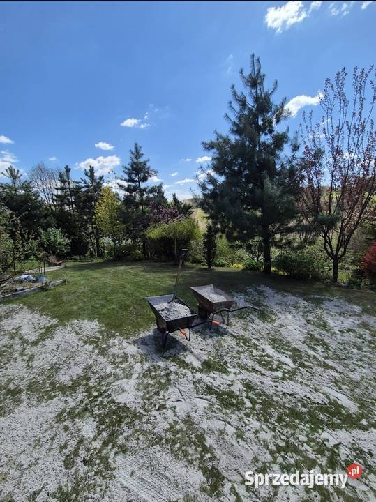 Aeracja piaskowanie trawnika Sosnowiec