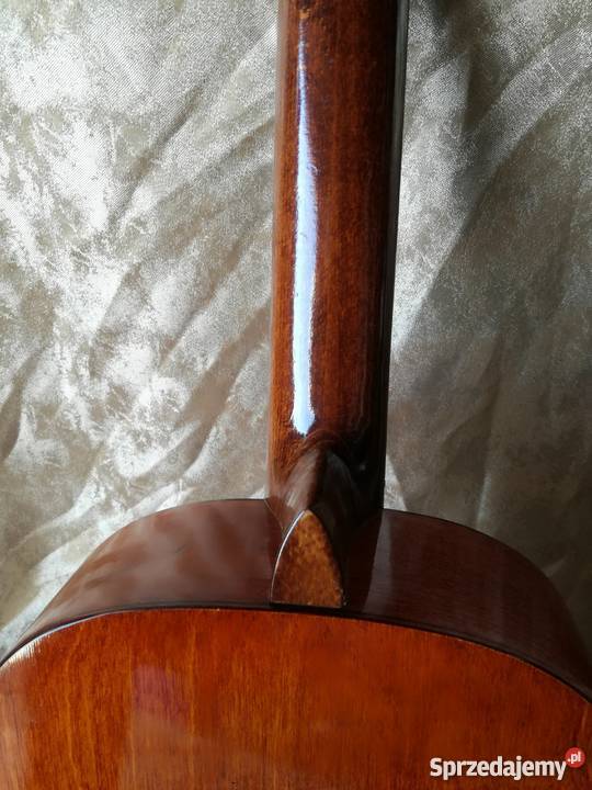 Gitara cremona klasyczna Gitary i akcesoria Stargard