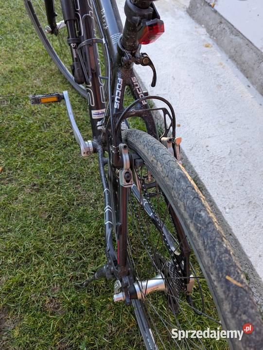 Rower Fokus Black Falls Miejskie