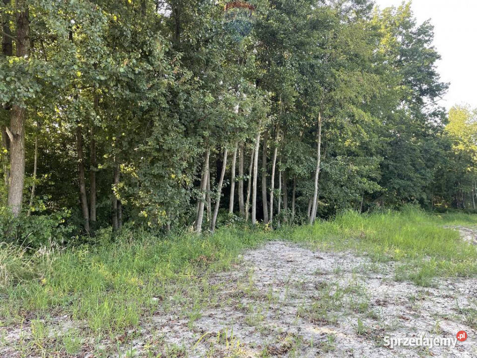 Działka budowlana Krzeczów media droga małopolskie