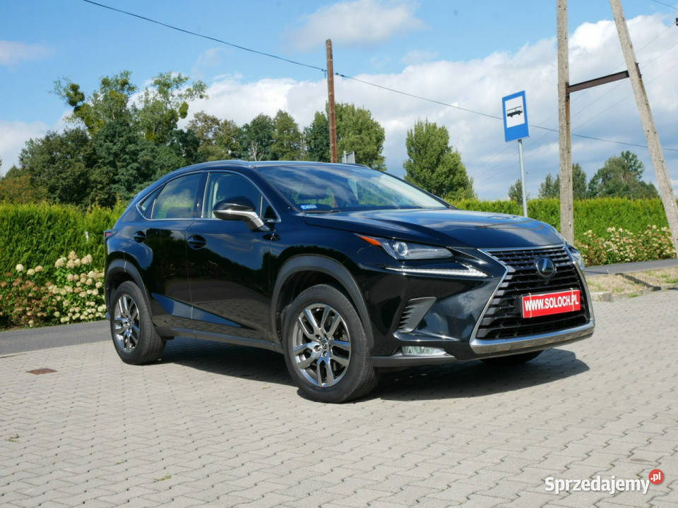 Lexus NX 300 20 238 Eu6 Elegance 4x4 AWD Automat elektrochrom. lusterko wst. Goczałkowice-Zdrój