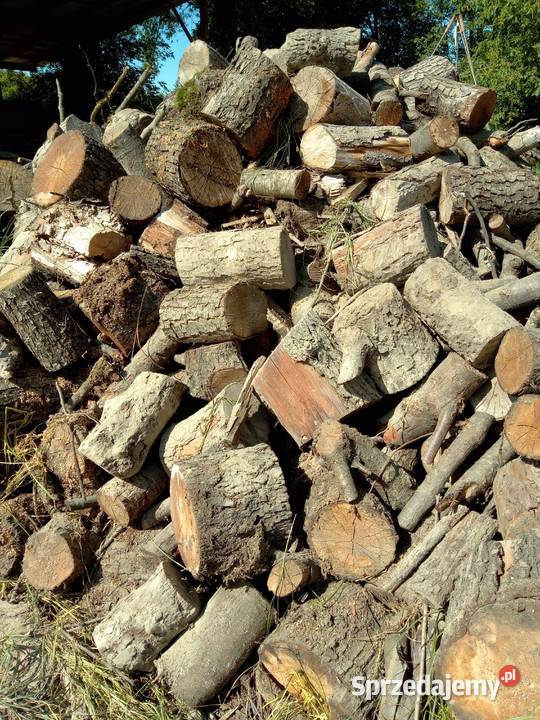 Sprzedam drzewo drewno opałowe z dowozem Maków Mazowiecki sprzedam