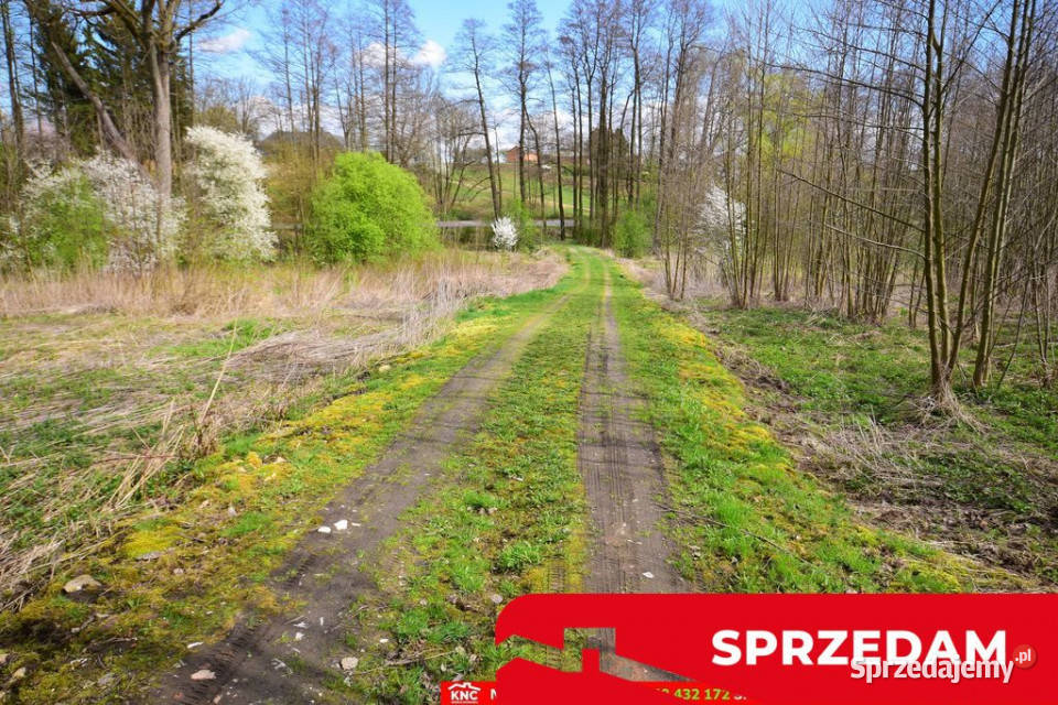 Działka o pow 3115 m szkoła MPK