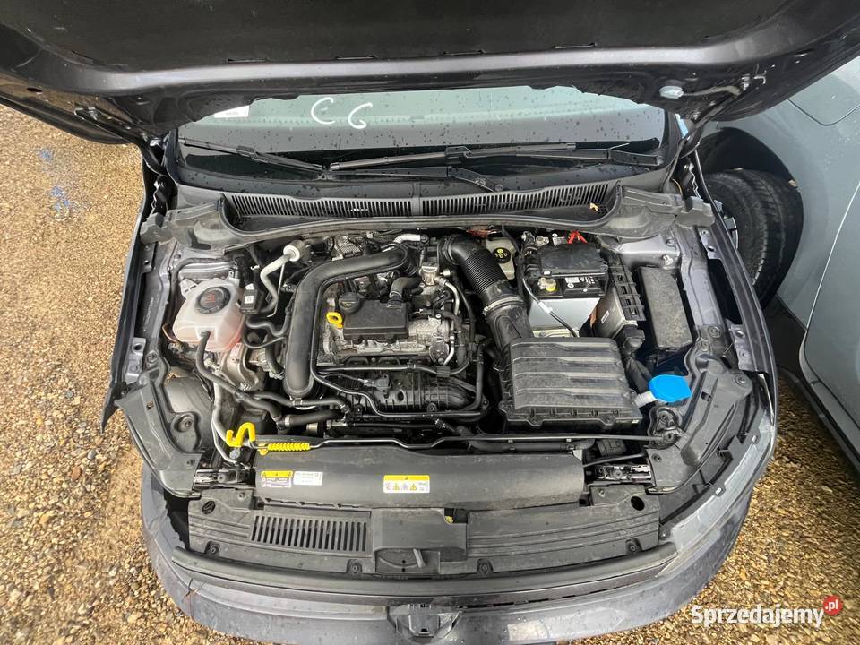 VOLKSWAGEN Polo VI 10 TSi 9 5GP533 opolskie Opole