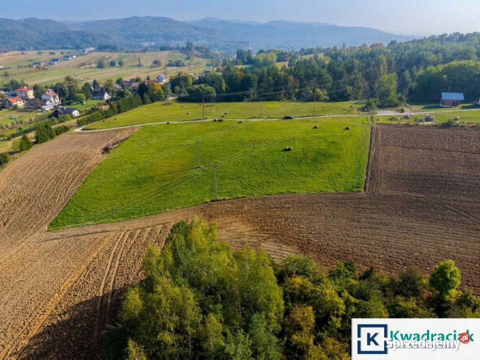 Do sprzedaży działka 3683m2 Trepcza sprzedam