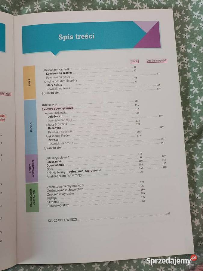 REPETYTORIUM EGZAMIN ÓSMOKLASISTY JĘZYK POLSKI małopolskie Kraków