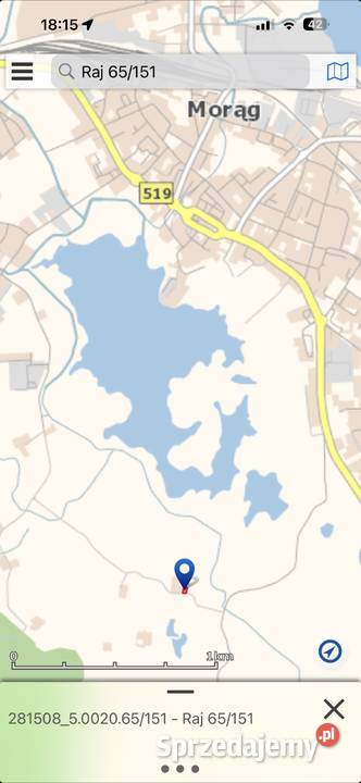 Działka rekreacyjna z możliwością zabudowy rekreacyjna Sprzedaż Raj