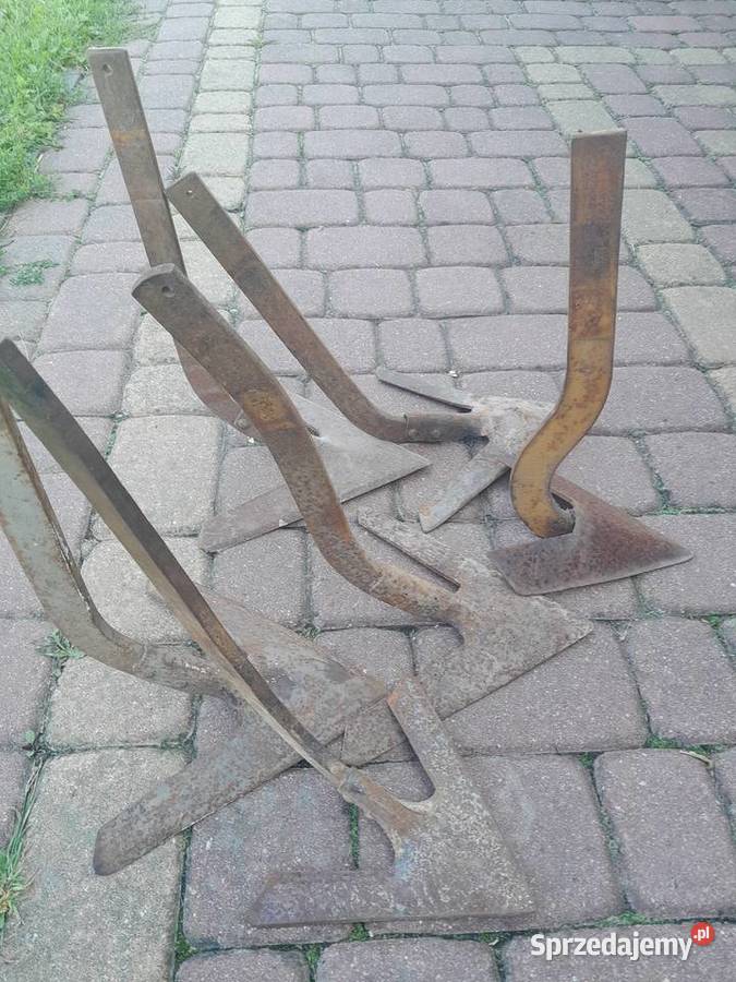 Redlice pazurki opielacza gesie stopki Komarówka Podlaska