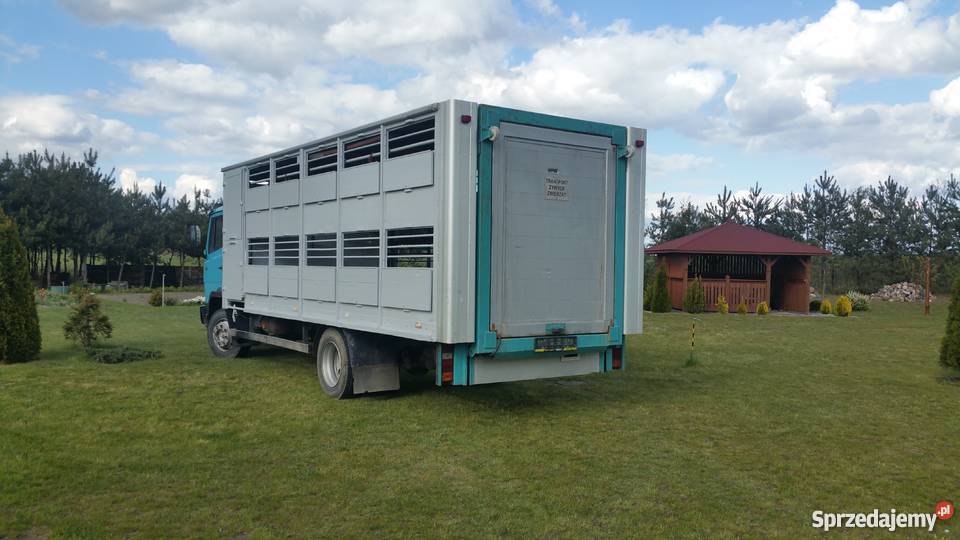 Mercedes 1117 przewóz zwierząt 4960kg Specjalne Prabuty