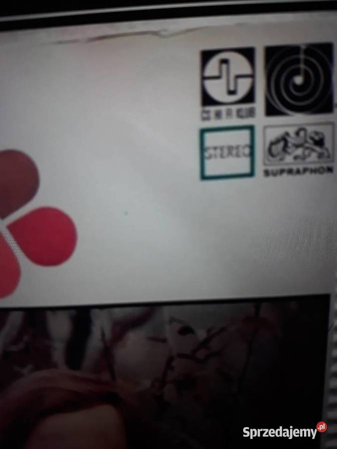 Archiwum słowackiego Prog Rocka COLLEGIUM Rzeszów