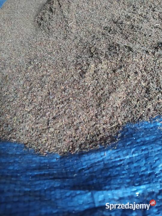 Sprzedam Nasiona kozłka lekarskiego Pozostałe