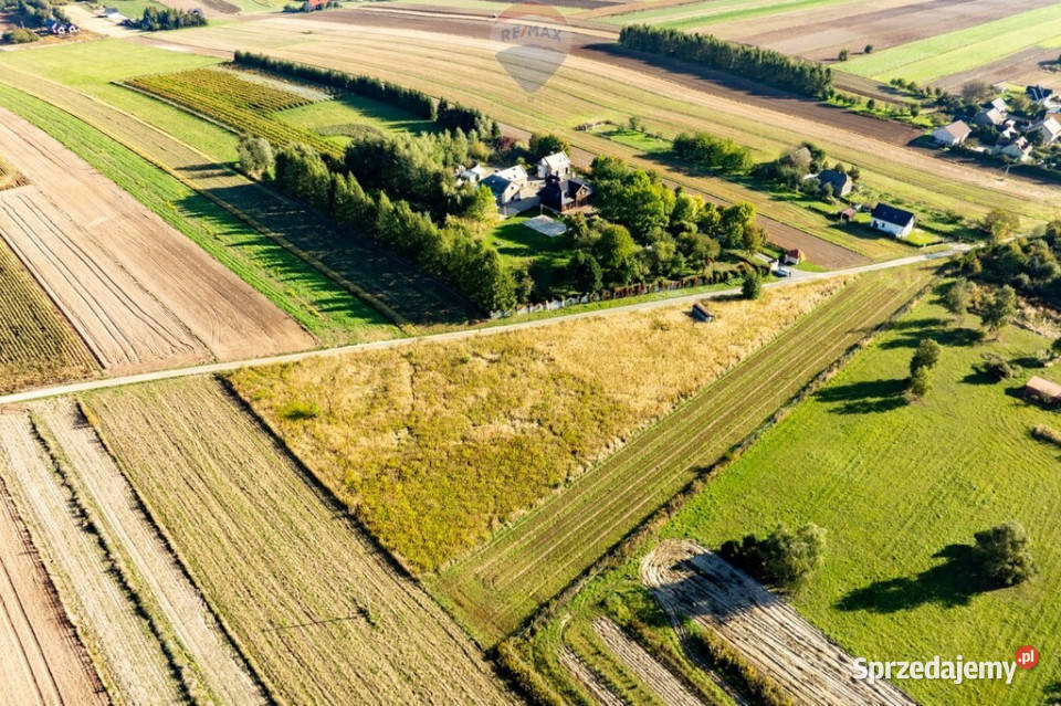 DZIAŁKA SKAŁA 45m Skała