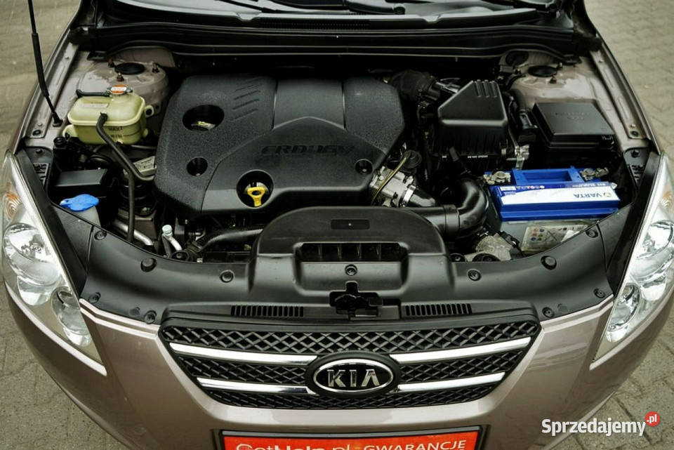 Kia Ceed 16CRDI Klima 181 serwis 100 2009r I nieuszkodzony sprzedam