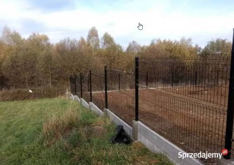 Panel ogrodzeniowy Wiśniowski 123x250 fi4mm ocynk Gorlice