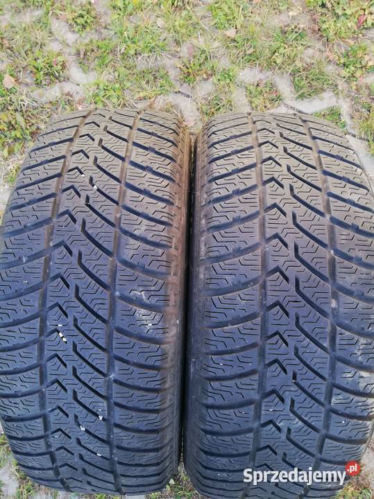 2 opony MS MALOYA CRESTA 20555R16 Kielce