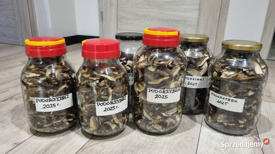 Podgrzybki suszone Zbiór 2025r 25 100g Gliwice