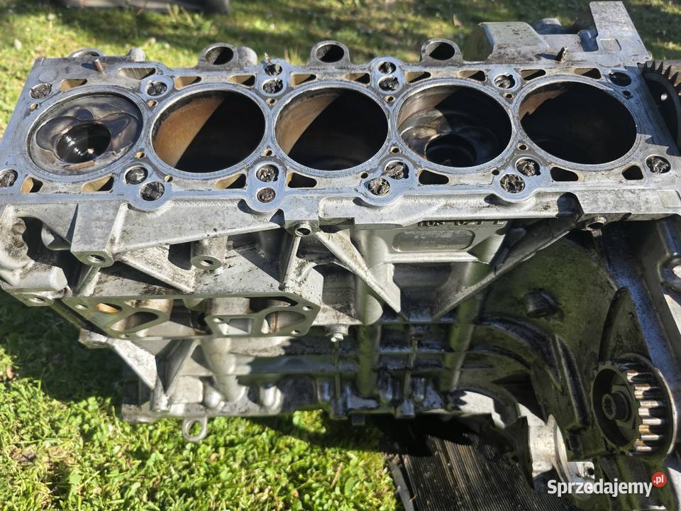 Blok Silnika Vw T5 25 TDI BNZ 070 103 021L Skawina
