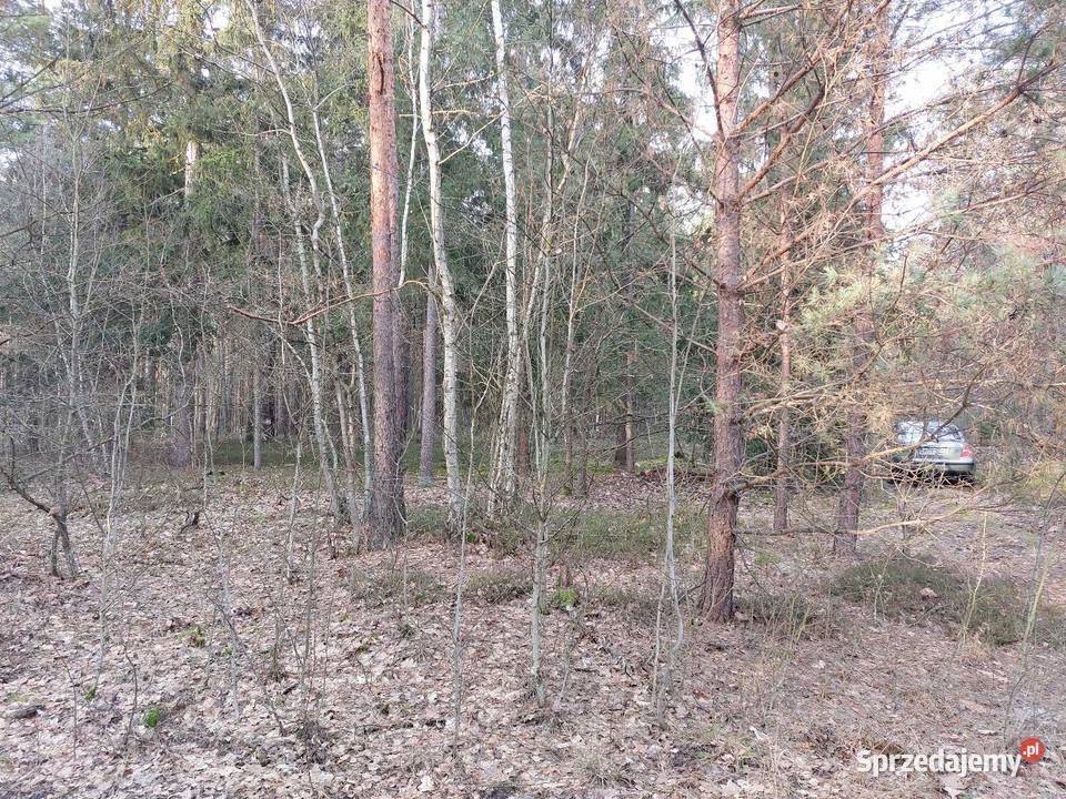 Sprzedam działkę leśną las leśna Szynkarzyzna sprzedam