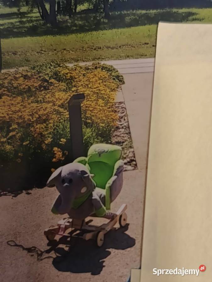 Słonik jeździk słonik na biegunach wielkopolskie Poznań