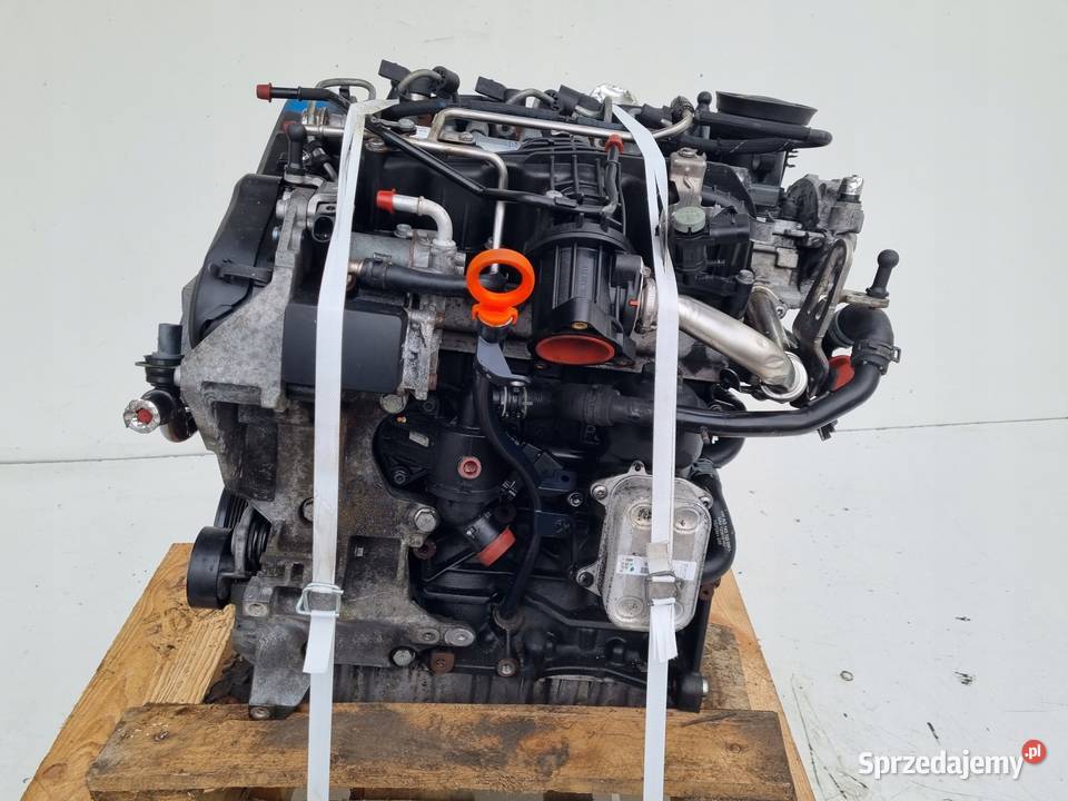 SILNIK BEZ OSPRZĘTU Audi A3 8V 16 TDI 105 ładnie Chełm