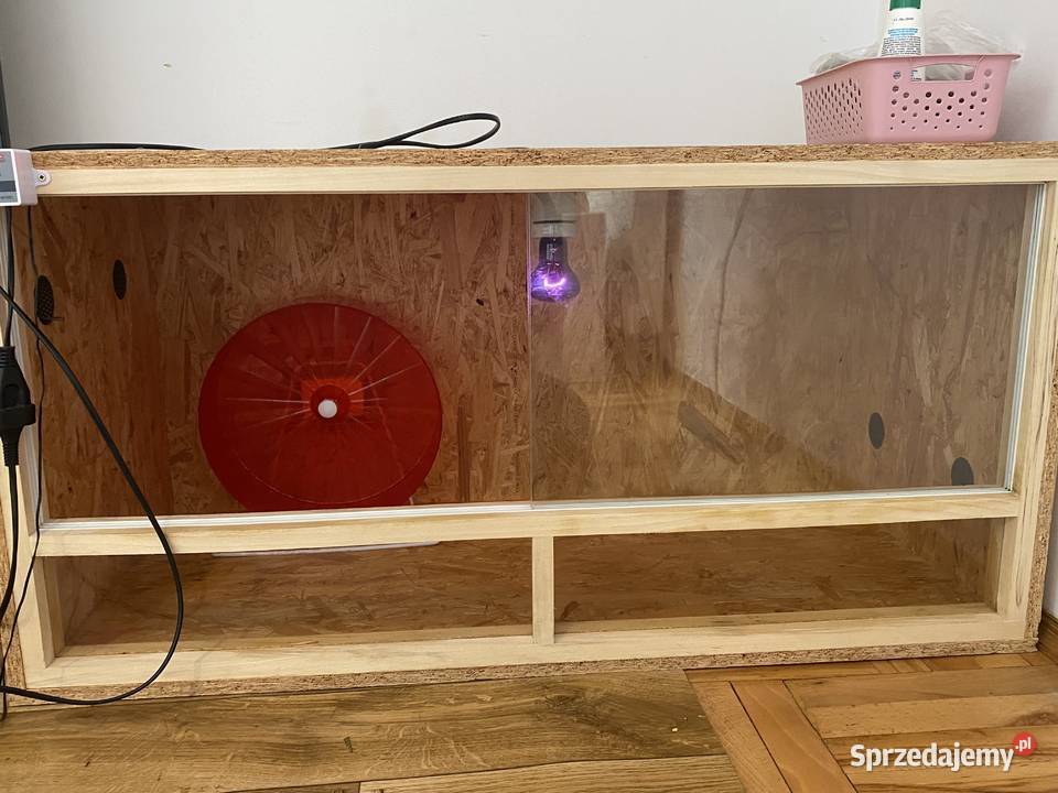 Terrarium jeż pigmejski Łańcut