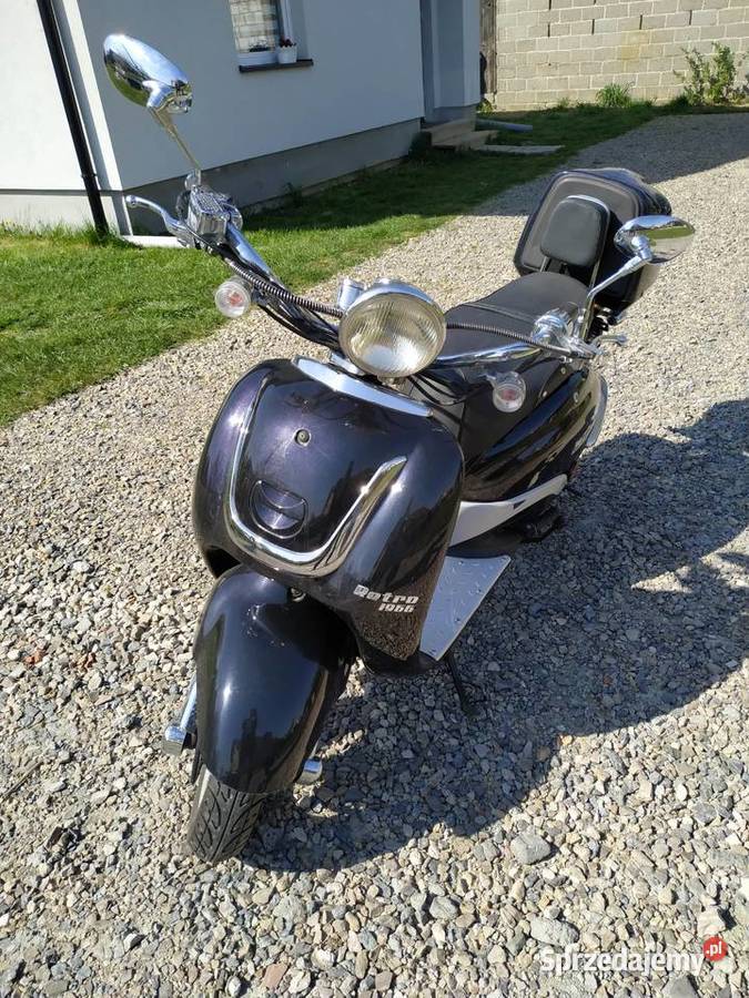 ZHONGNENG Magnus 1966 Retro