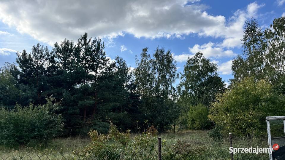 Działka budowlana 1233m2 Sabnie 10 min do Hołowienki sprzedam