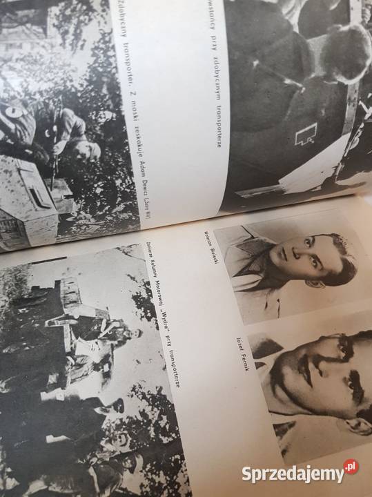 Produkcja uzbrojenia w polskim ruchu oporu sprzedam