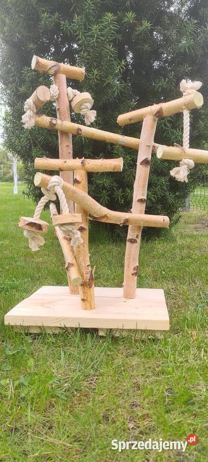 Brzozowy stojak mniejszych papug Ruda Śląska