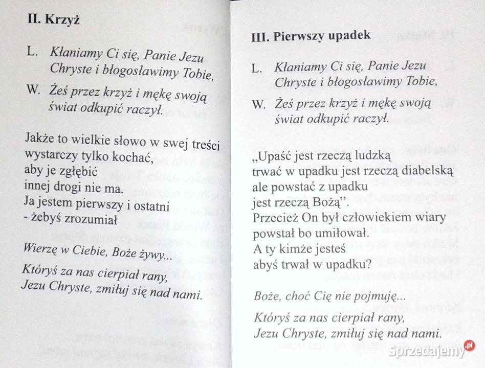 Z Golgoty widać najlepiej człowieka ks Janusz Chełm