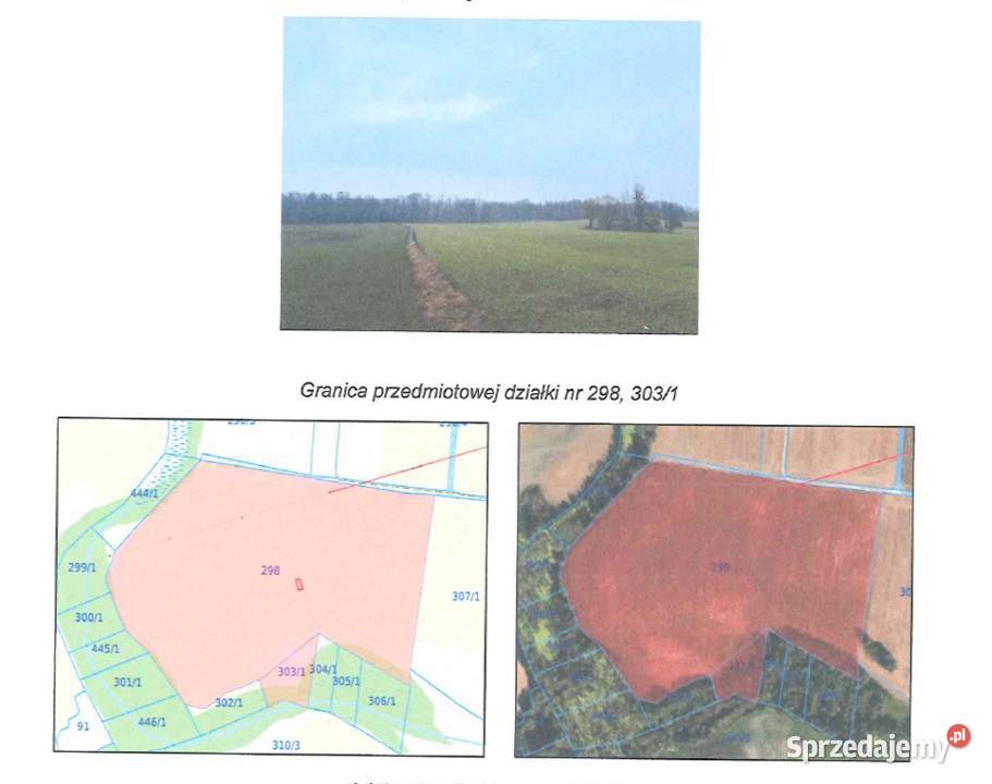 syndyk sprzeda grunty orne dz 298 i 3031 Radomin
